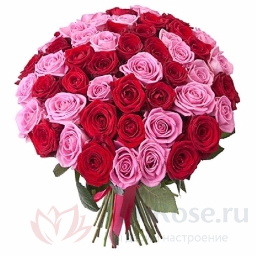 до 51 роза FunRose 51 Роза Ред Наоми Микс (45 см) 