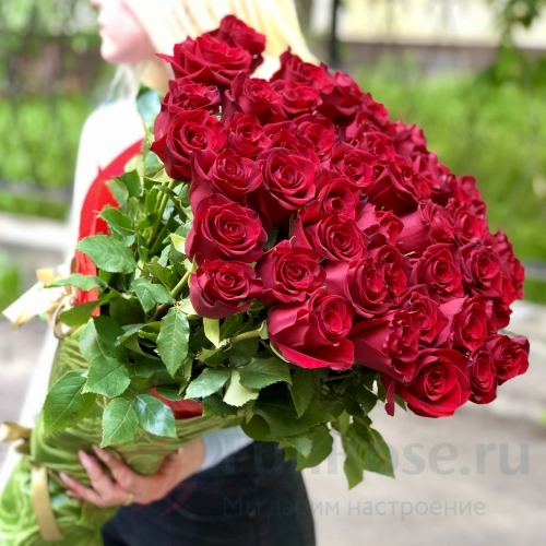Розы FunRose 51 Роза Эквадор Красный (70 см) 