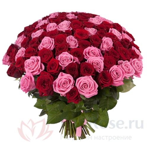 101 роза FunRose 101 Роза Эквадор Микс (70 см) 