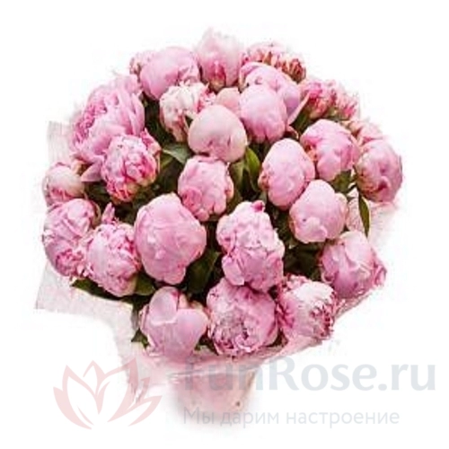 Букеты FunRose 25 Пионов Розовых (60 см) 