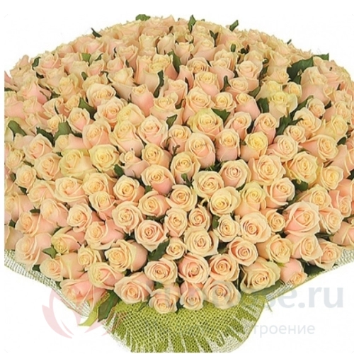 151 роза и более FunRose 201 Роза Ред Наоми Золотистый (70 см) 