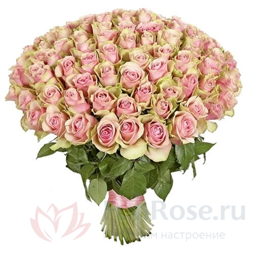 101 роза FunRose 101 Роза Кения Розовый (40 см) 