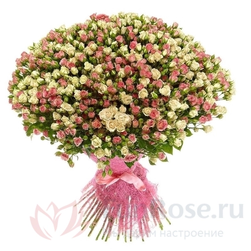 101 роза FunRose 101 Кустовая роза Микс (80 см) 