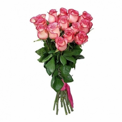 FunRose 15 Роз Эквадор Розовый (70 см) до 25 роз
