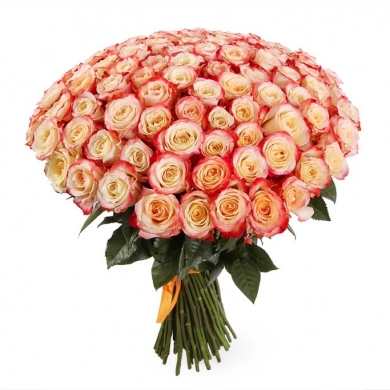 FunRose 151 Роза Эквадор Розовый (70 см) 151 роза и более