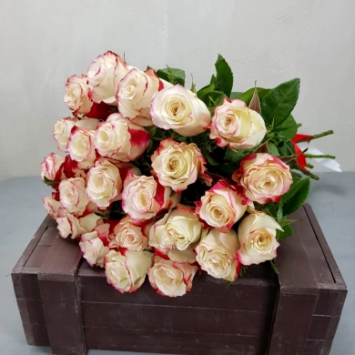FunRose 25 Роз Эквадор Белый (70 см) до 25 роз