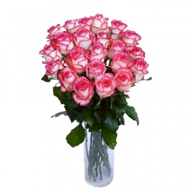 FunRose 21 Роза Россия (60 см) до 25 роз