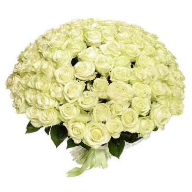 FunRose 101 Роза Россия Белый (60 см) 101 роза