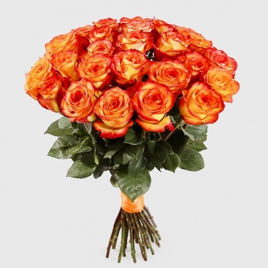 FunRose 27 Роз Эквадор Оранжевых (70 см) до 51 роза