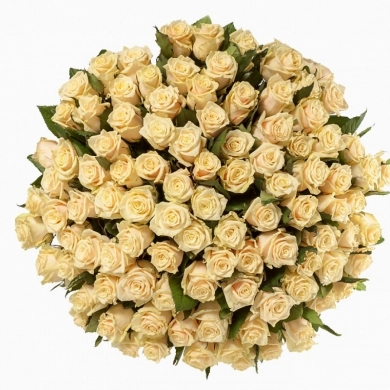 FunRose 151 Роза Эквадор Белая (70см) 151 роза и более
