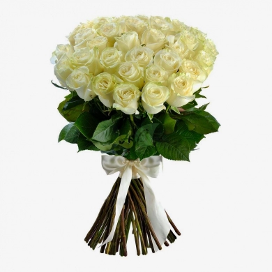 FunRose 35 Роз Эквадор Белый (70 см) Розы