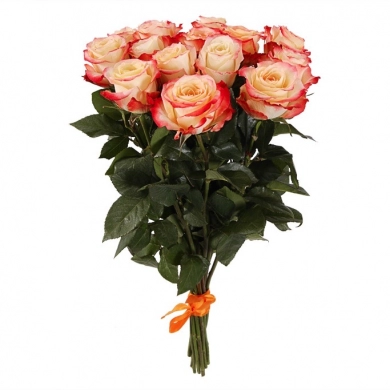 FunRose 15 Роз Эквадор Оранжевый (70 см) до 25 роз