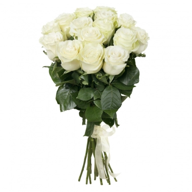 FunRose 15 Роз Эквадор Белый (60 см) до 25 роз