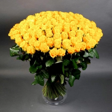 FunRose 151 Роза Эквадор Желтый (70 см) Розы