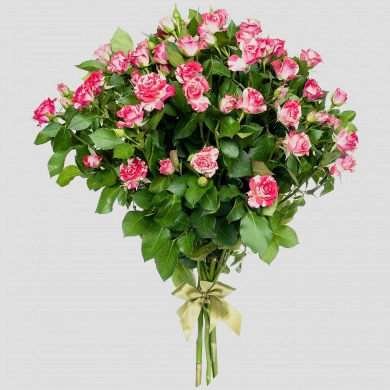 FunRose 5 Роз Кустовых Розовый (60 см) Кустовая роза