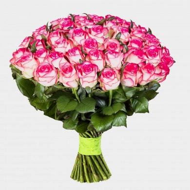 FunRose 51 Розы Россия Розовый (60 см) до 51 роза