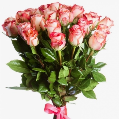FunRose 21 Роза Эквадор Розовый (70 см) до 25 роз