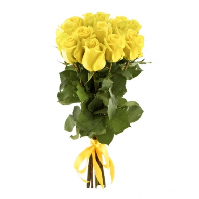 FunRose 13 Роз Эквадор Желтых (70 см) Розы