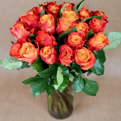FunRose 25 Роз Эквадор Оранжевый (60 см) до 25 роз