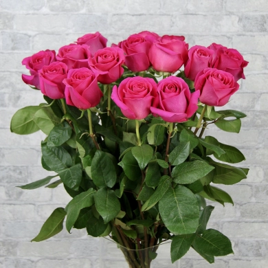 FunRose 15 Роз Эквадор Розовые (70 см) до 25 роз