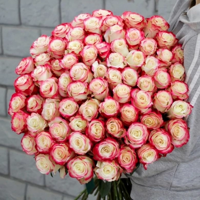 FunRose 81 Роза Эквадор Розовый (70 см) 101 роза