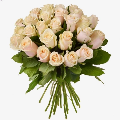 FunRose 29 Роз Эквадор Белый (60 см) до 51 роза