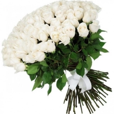 FunRose 101 Роза Эквадор Белый (70 см) 101 роза