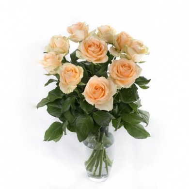 FunRose 11 Роз Пич Аваланж Оранжевый (60 см) до 25 роз