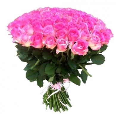 FunRose 51 Роза Кения Розовая (50 см) до 51 роза