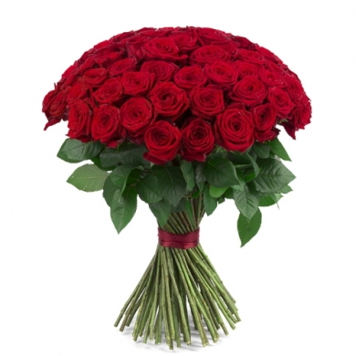FunRose 51 Роза Ред Наоми Красный (45 см) до 51 роза