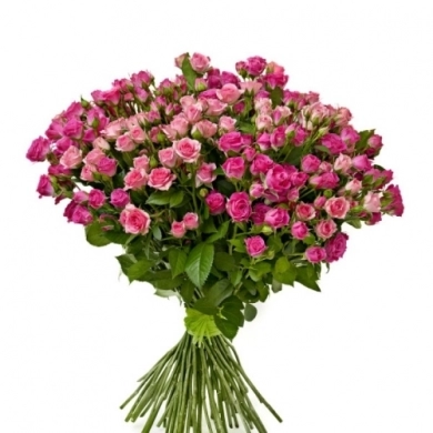 FunRose 51 Роза Кустовая Розовый (60 см) до 51 роза