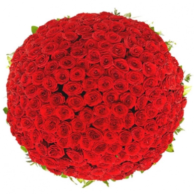 FunRose 151 Роза Ред Наоми Красный (90 см) 151 роза и более