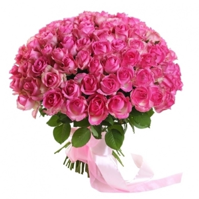 FunRose 101 Роза Кения Розовый (40 см) Розы