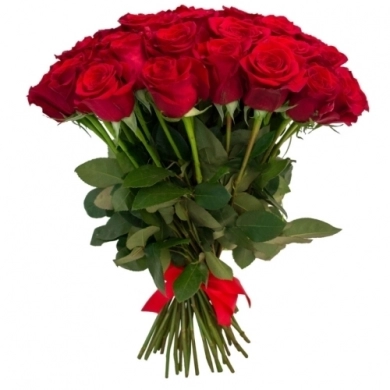 FunRose 25 Роз Эквадор Красные (60 см) до 25 роз