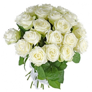 FunRose 25 Роз Вайт Наоми Эквадор (60 см) до 25 роз
