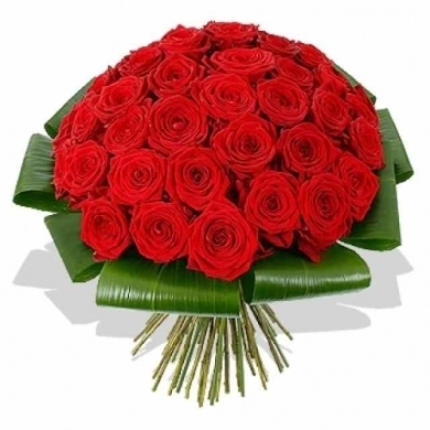 FunRose 51 Роза Ред Наоми Красный (60 см) до 51 роза
