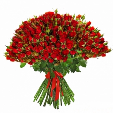 FunRose 51 Роза Кустовая Красный (60 см) до 51 роза