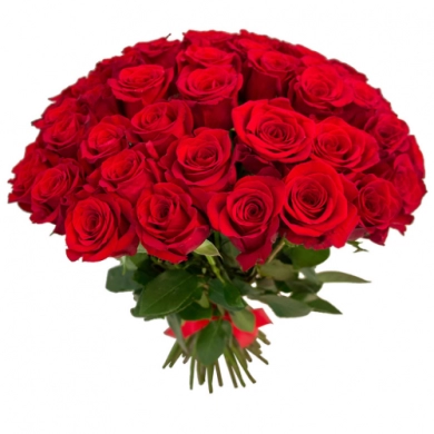 FunRose 51 Роза Эквадор Красный (60 см) Розы