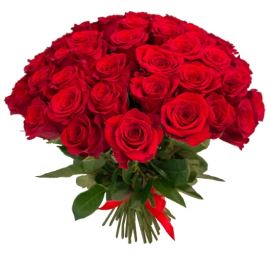FunRose 25 Роз Эквадор Красные (60 см) до 25 роз