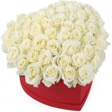 FunRose 51 Роза Ред Наоми Белый в коробке (35 см) Цветы в коробке