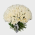 201 Роза Россия Белый (60 см) 60, 100