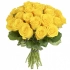 23 Розы Эквадор Желтый (60 см) 