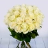 25 Роз Эквадор Белый (60 см) 60, 30