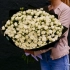 101 Роза Кустовая Белый (70 см) 70, 30