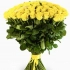 101 Роза Эквадор Желтая (80 см) 