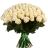 101 Роза Эквадор Белый (70 см) 70, 60