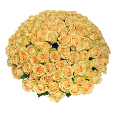 FunRose 101 Роза Эквадор Желтый (70 см) 101 роза